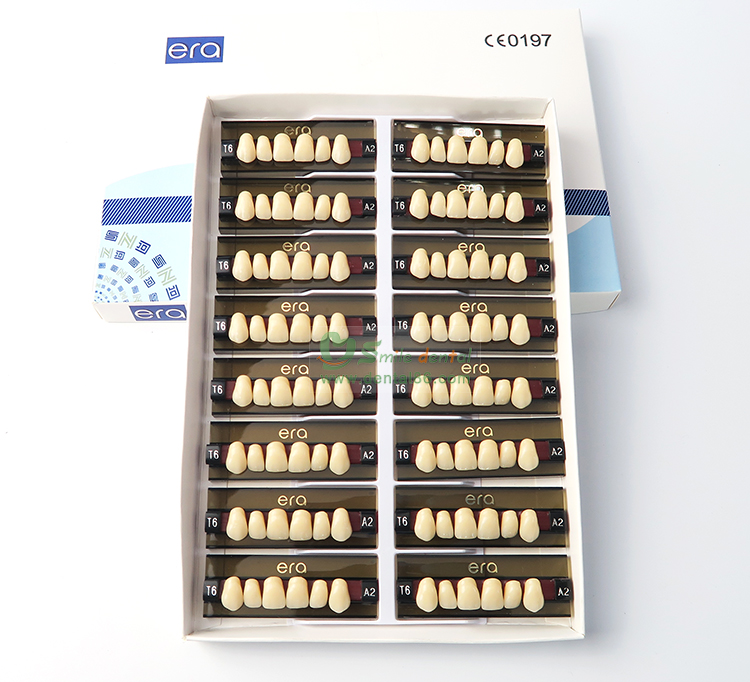 R103 Three Layer Acrylic Resin Teeth